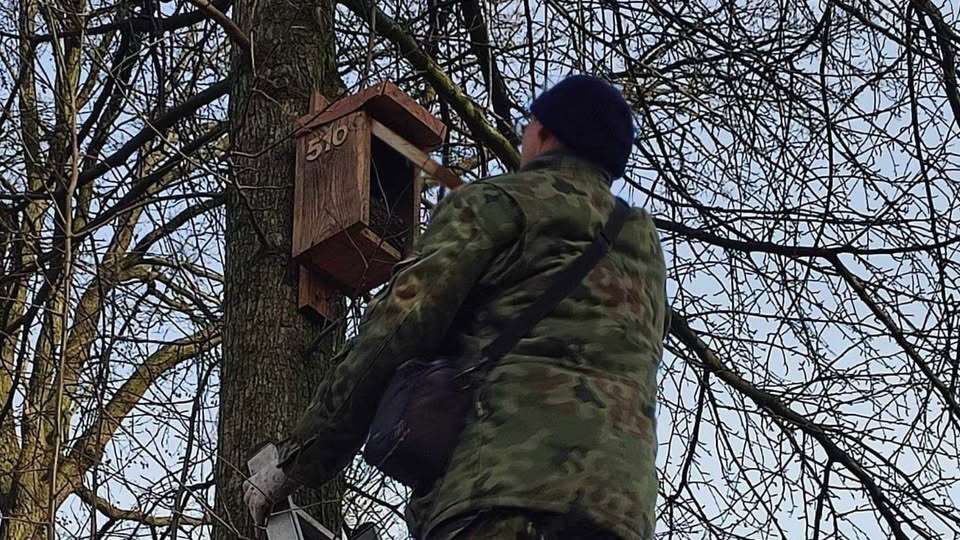 Przegląd budek lęgowy w Parku Dębinka w Łochowie- zaproszenie
