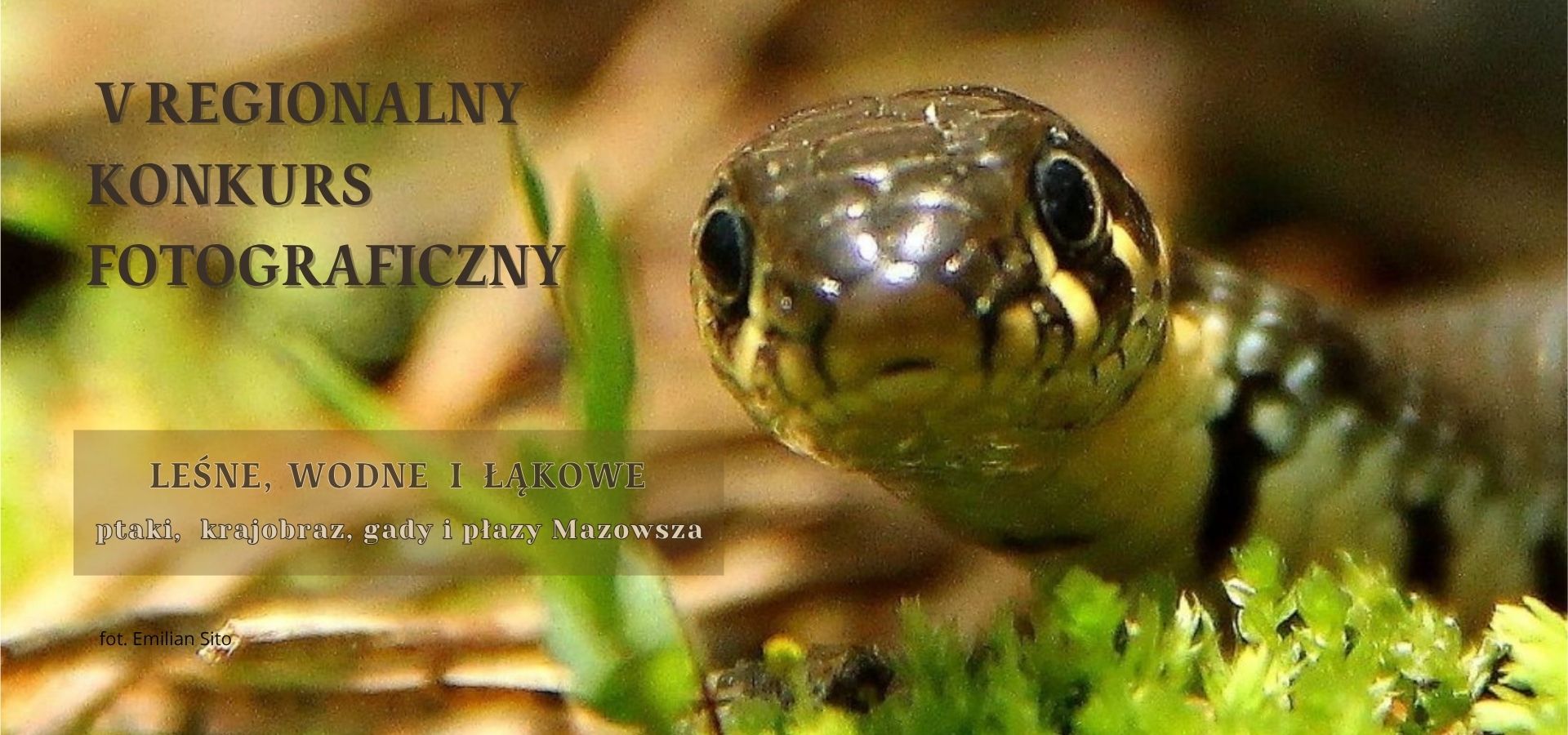 Wręczenie nagród i wernisaż zwycięskich fotografii w konkursie „Leśne, wodne i łąkowe”- zaproszenie